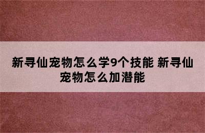 新寻仙宠物怎么学9个技能 新寻仙宠物怎么加潜能